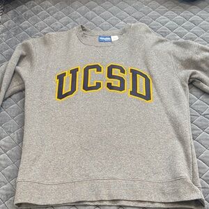 Gray UCSD Sweatshirt L